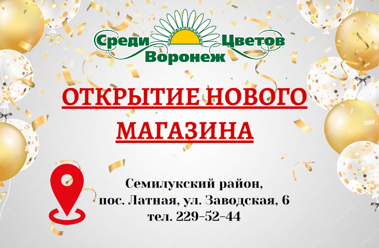 Открытие магазина в п.Латная 