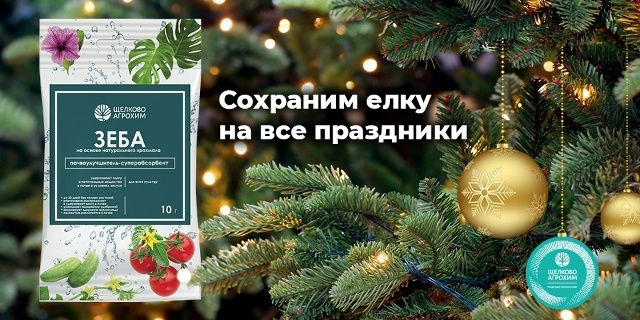 СОХРАНЯЕМ ЕЛКУ